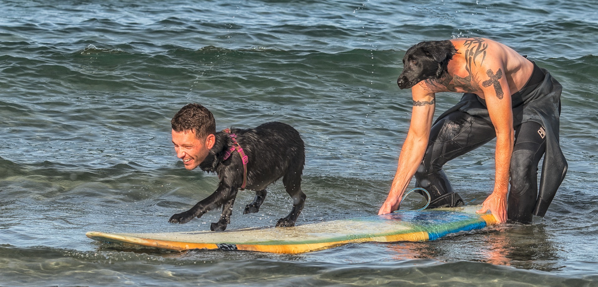 Darkroomers Quarterly Competition @ Photographic Arts Building | San Diego | California | United States