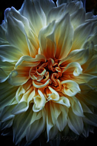 Darkroomer's Presents a Workshop by Kurt Lightfoot: Shoot For Story ~ Edit For Perception @ Photographic Arts Building | San Diego | California | United States