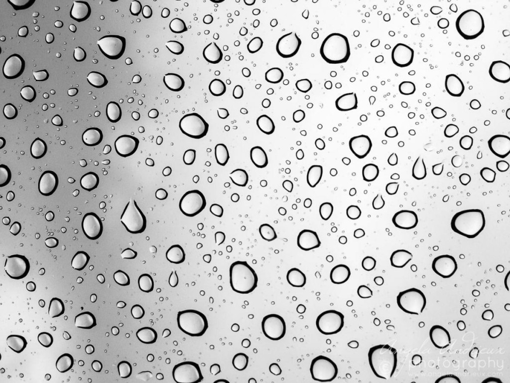 Third Place Monochrome: Rainy Day by Angela Andrieux