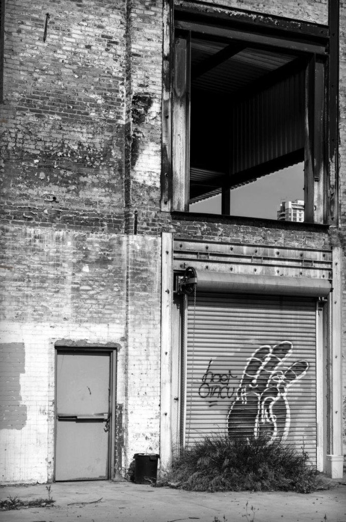 Second Place Monochrome: Through The Decay by Karen Harnish