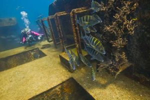 Darkroomers Monthly Meeting @ Photographic Arts Building | San Diego | California | United States