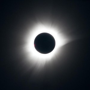 Darkroomers Monthly Meeting @ Photographic Arts Building | San Diego | California | United States