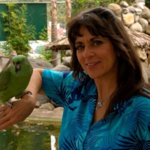 Darkroomers Monthly Critique Night @ Photographic Arts Building | San Diego | California | United States