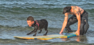 Darkroomers on Location: Imperial Beach Surf Dog Competition @ Imperial Beach Pier | Imperial Beach | California | United States