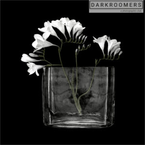 Darkroomers Weekend Workshop Series:Still Life