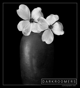 Darkroomers Quarterly Competition @ Photographic Arts Building | San Diego | California | United States