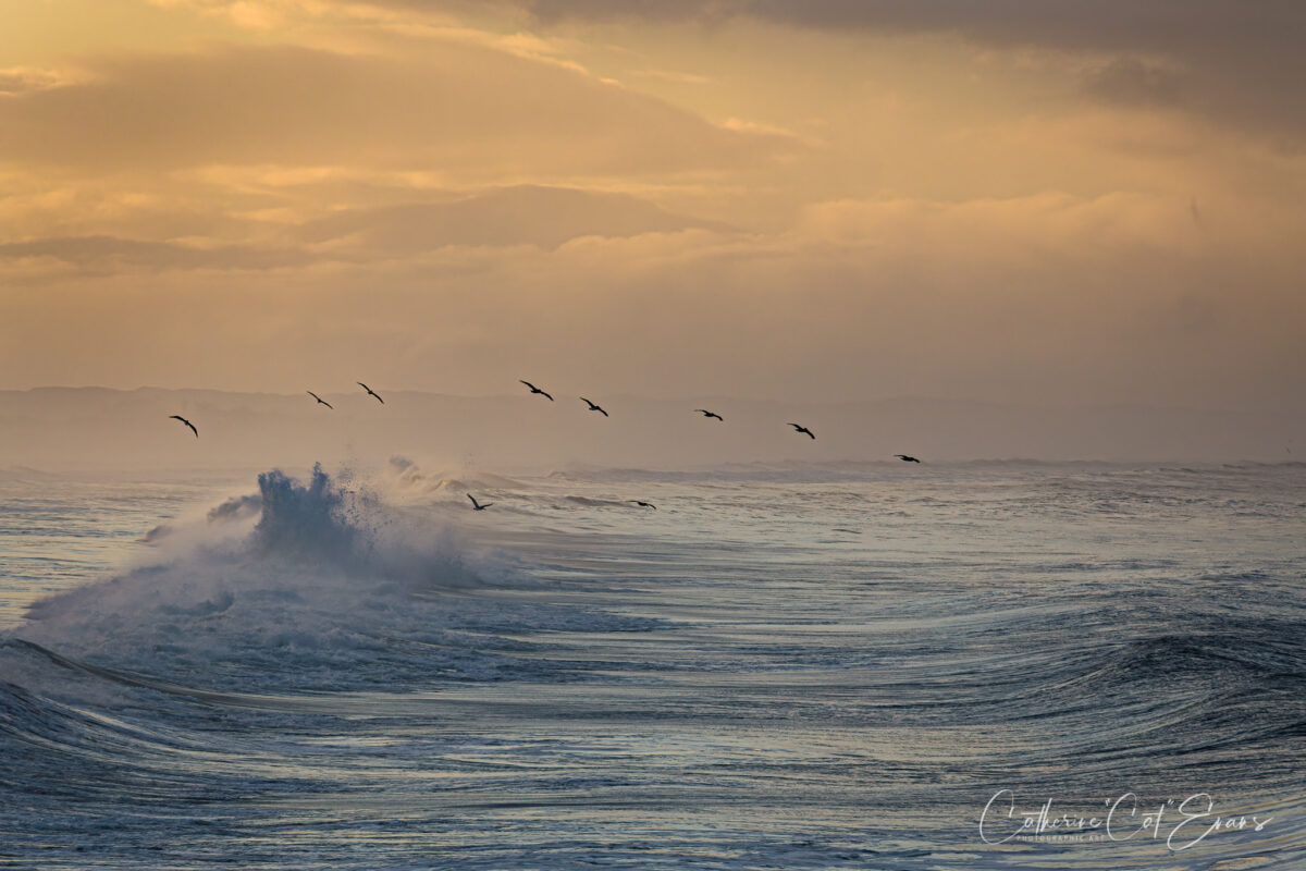 Dancing With The Waves by Catherine 