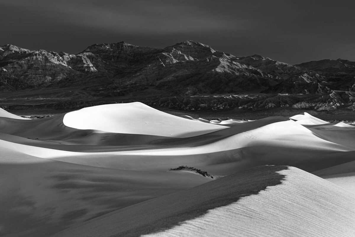 DV Mesquite Dunes Sunrise by Andrew Hertel