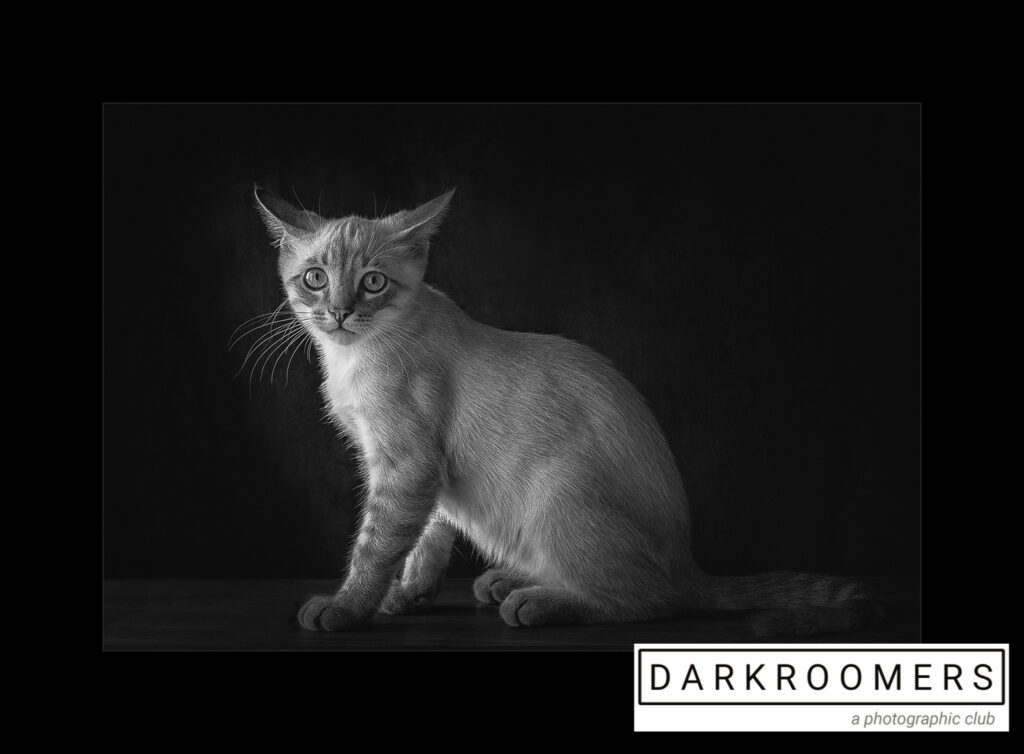 2021 Year End Monochrome