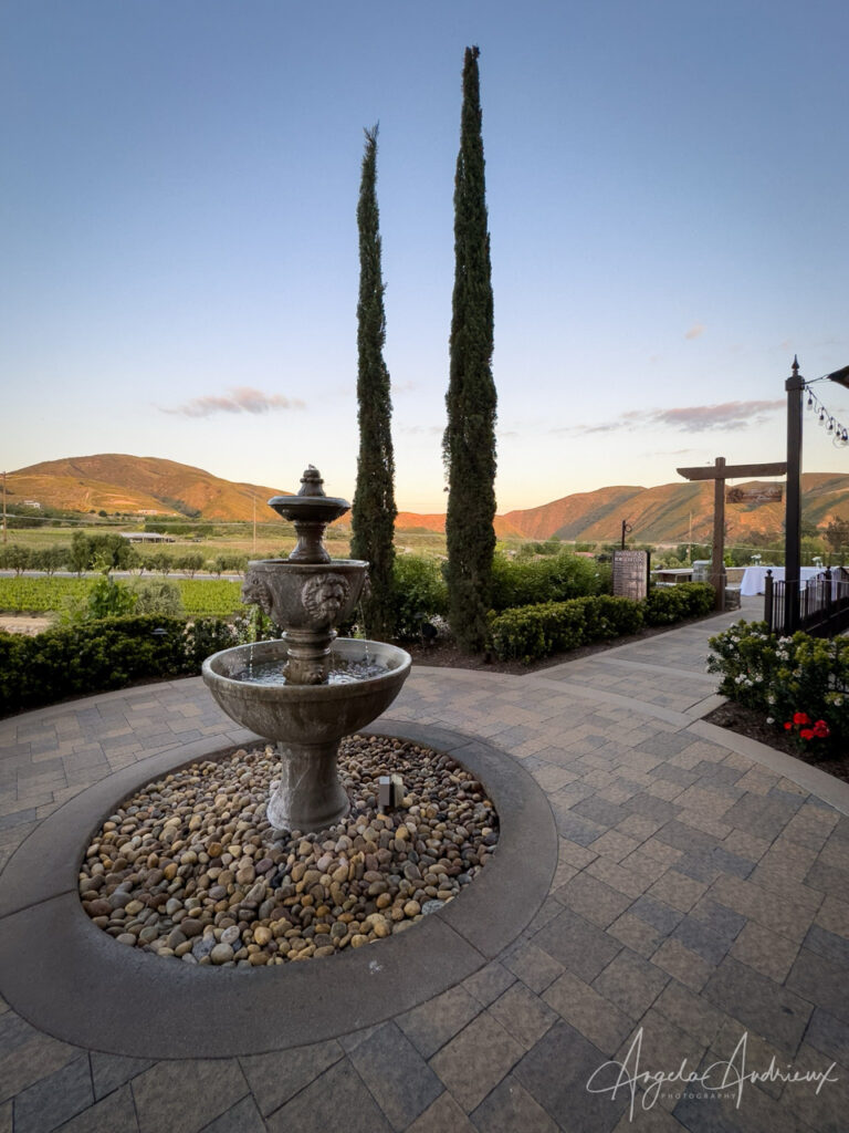 Robert Renzoni Vineyards