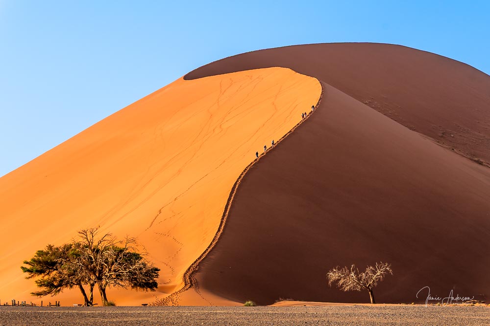 © Janie Anderson "Early Morning Climb On Dune 45"