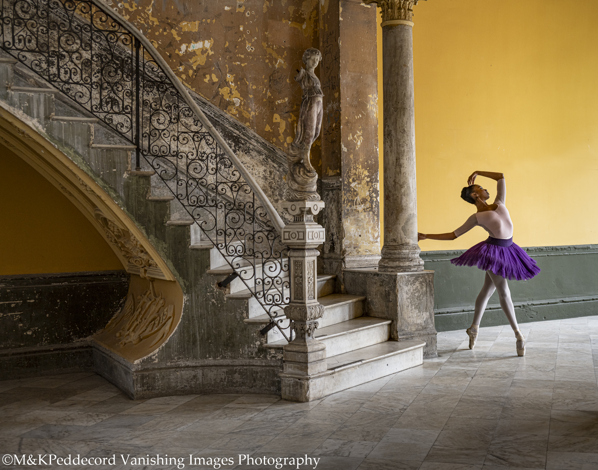 © Mary Peddecord
