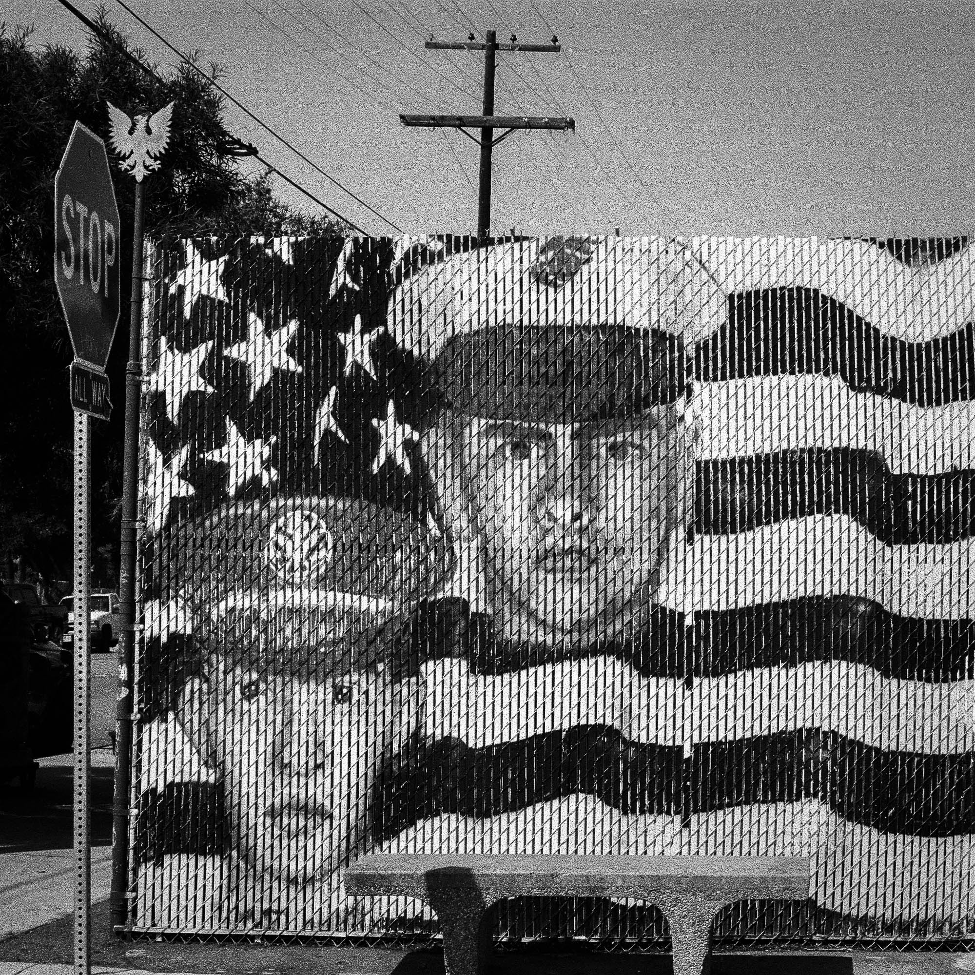 On Guard Scanned Film by Michael Peddecord