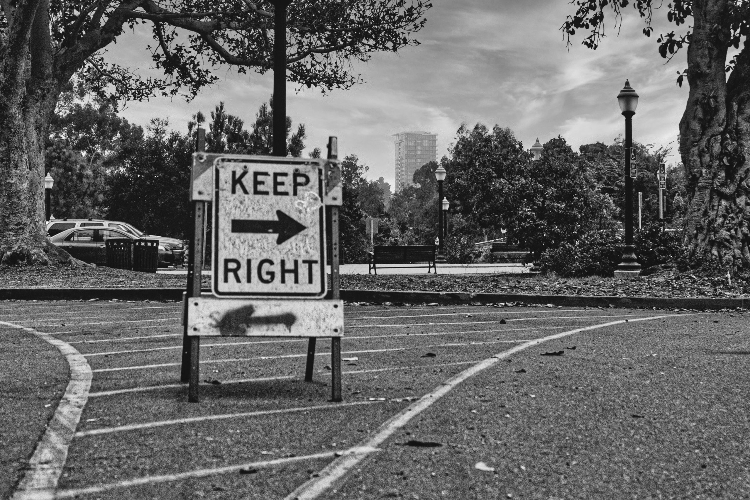 Which Way by Clestian Andrieux