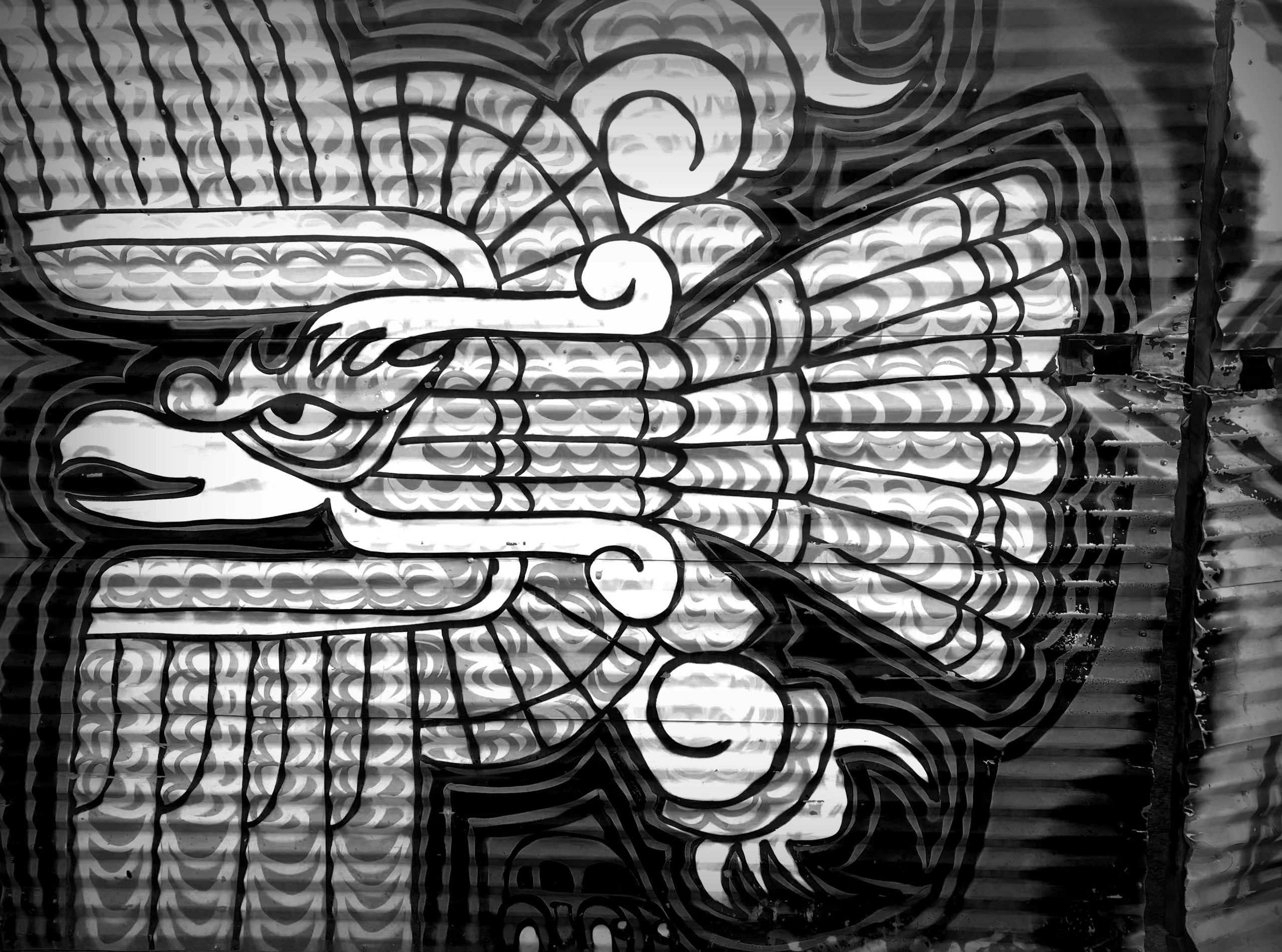 Fly like an eagle by Jeff Booher