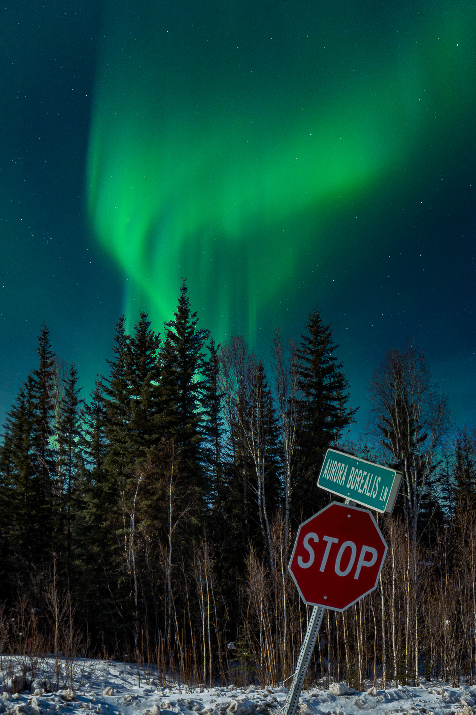 Aurora Borealis Lane by Lois Fong-Sakai