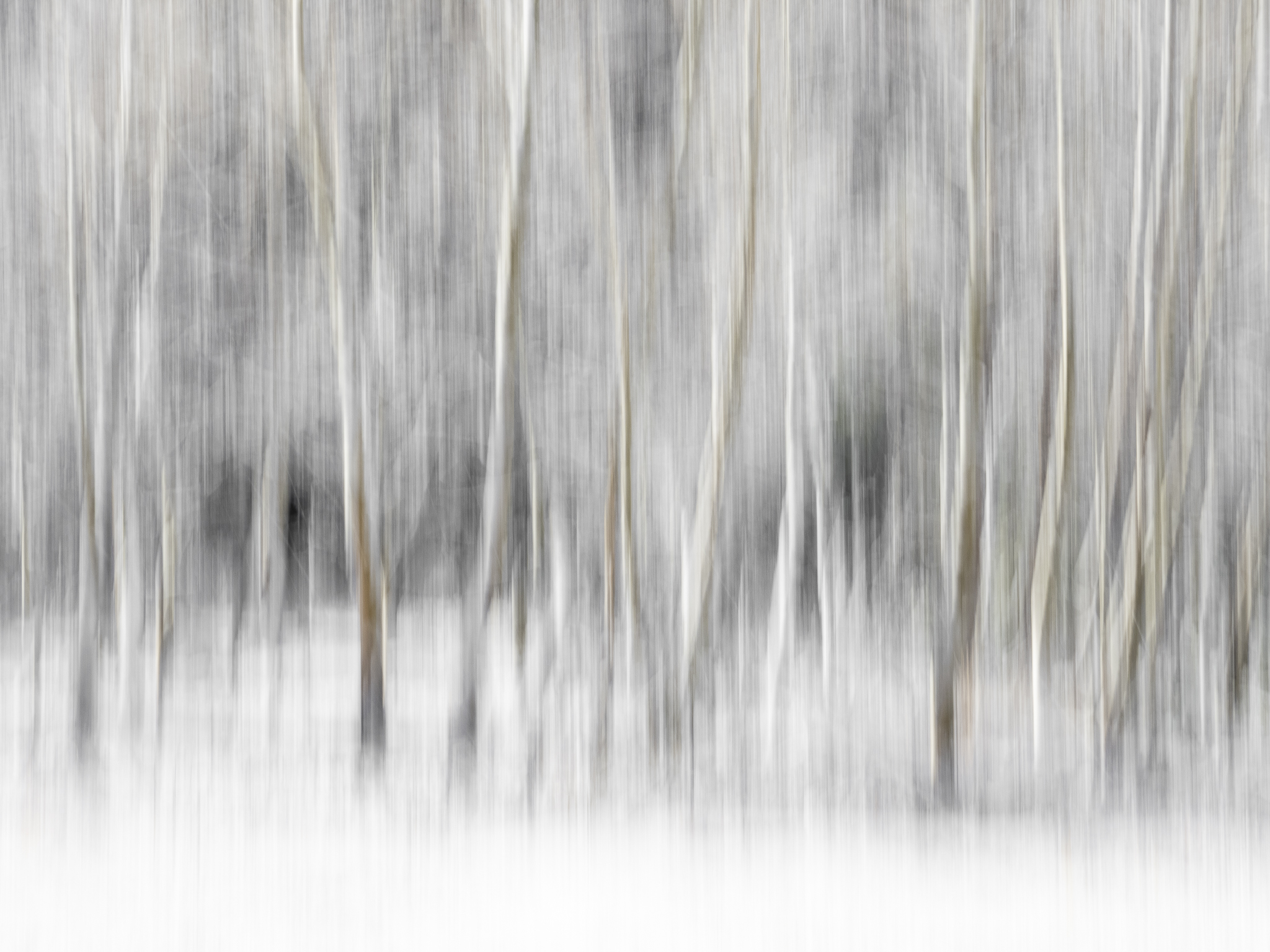 Snowy Morning by Anne Smith