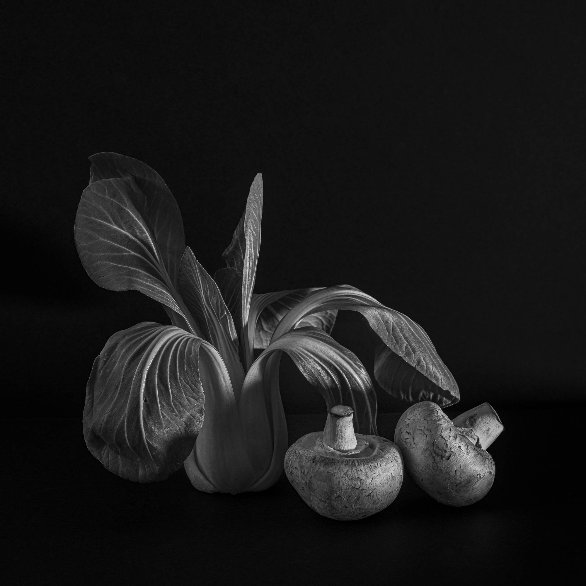 Bok Choy And Mushrooms by Mary Peddecord