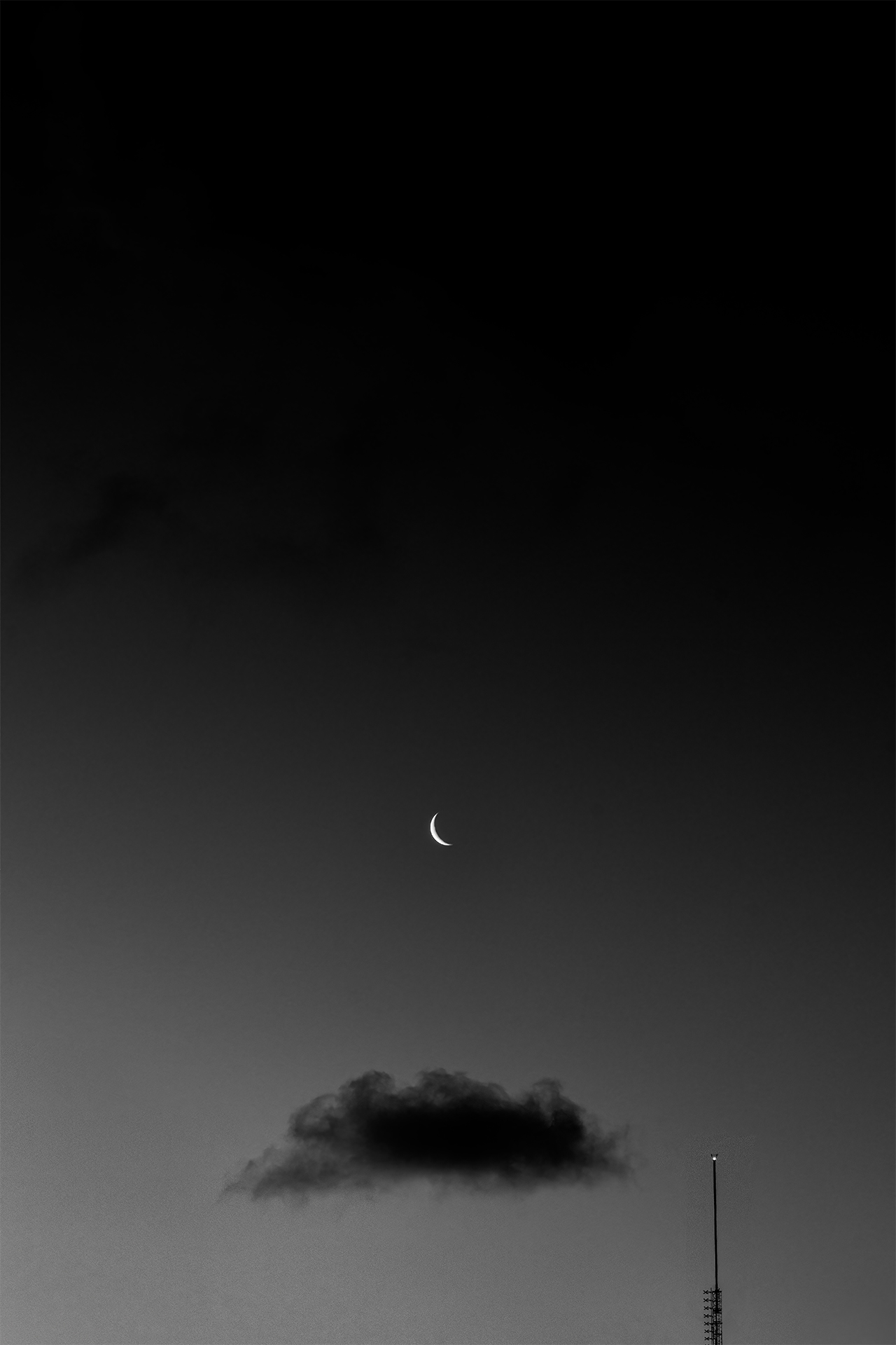Moonrise Dr by Lisa Miller