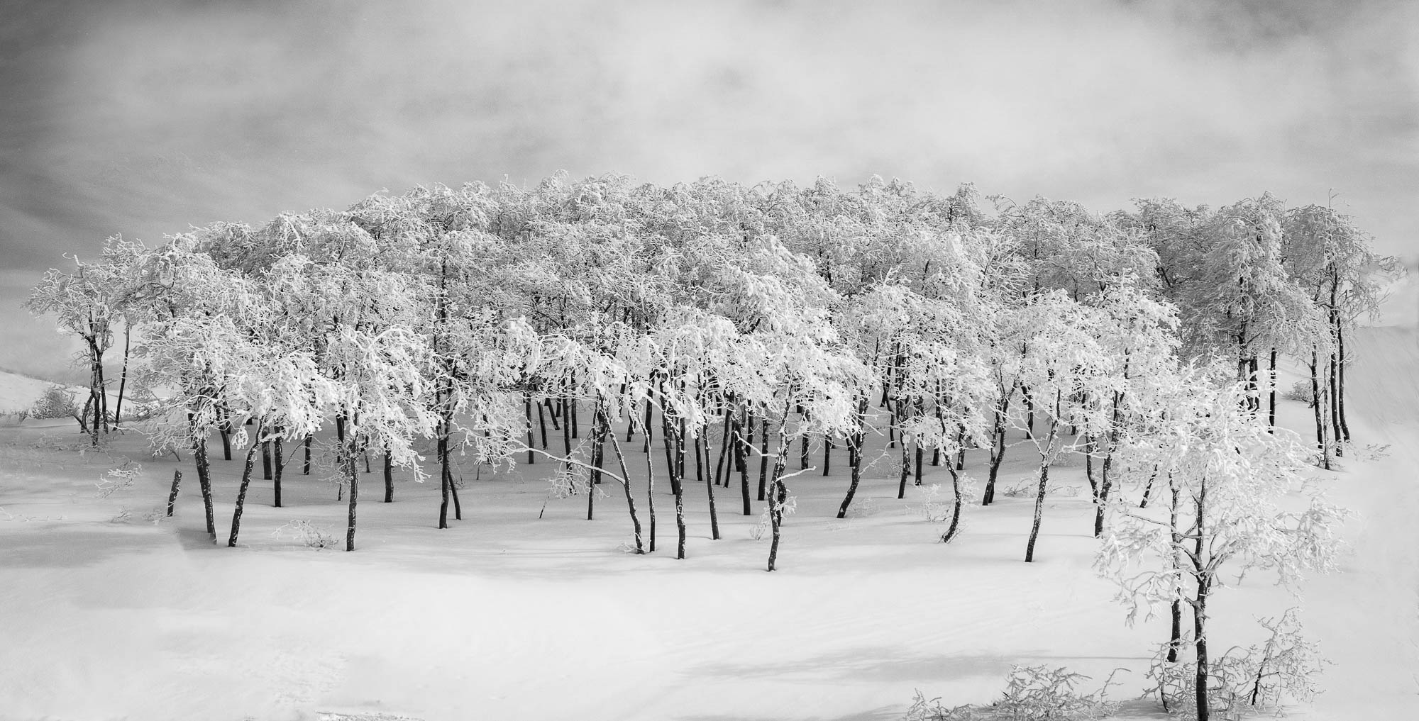 Aspen Cluster From Village Lift by Michael Peddecord