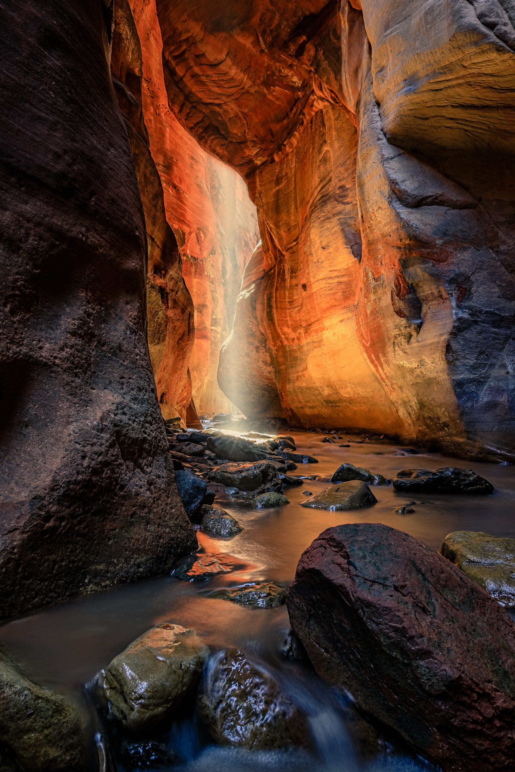 The Guiding Light by Daniel Clouser