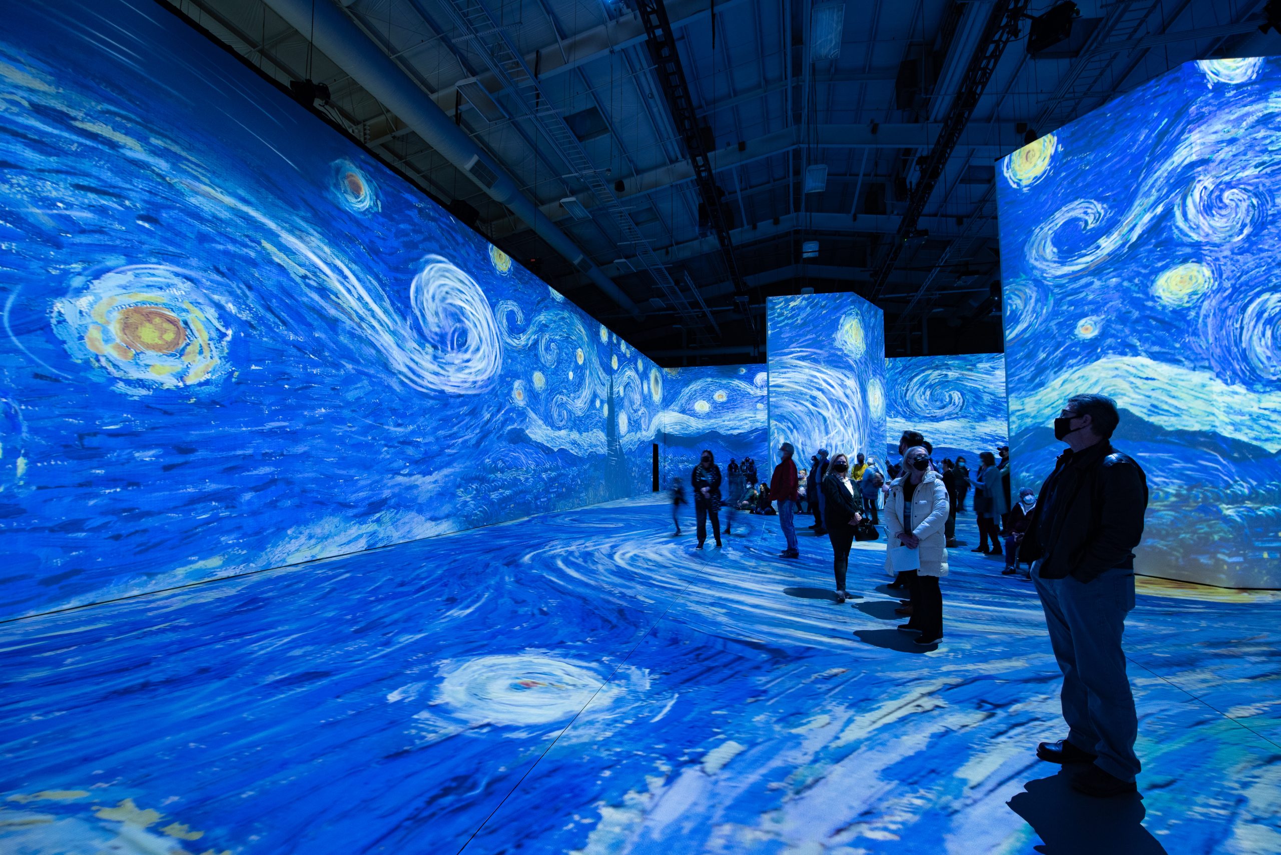 Starry Starry Night by Lois Fong-Sakai
