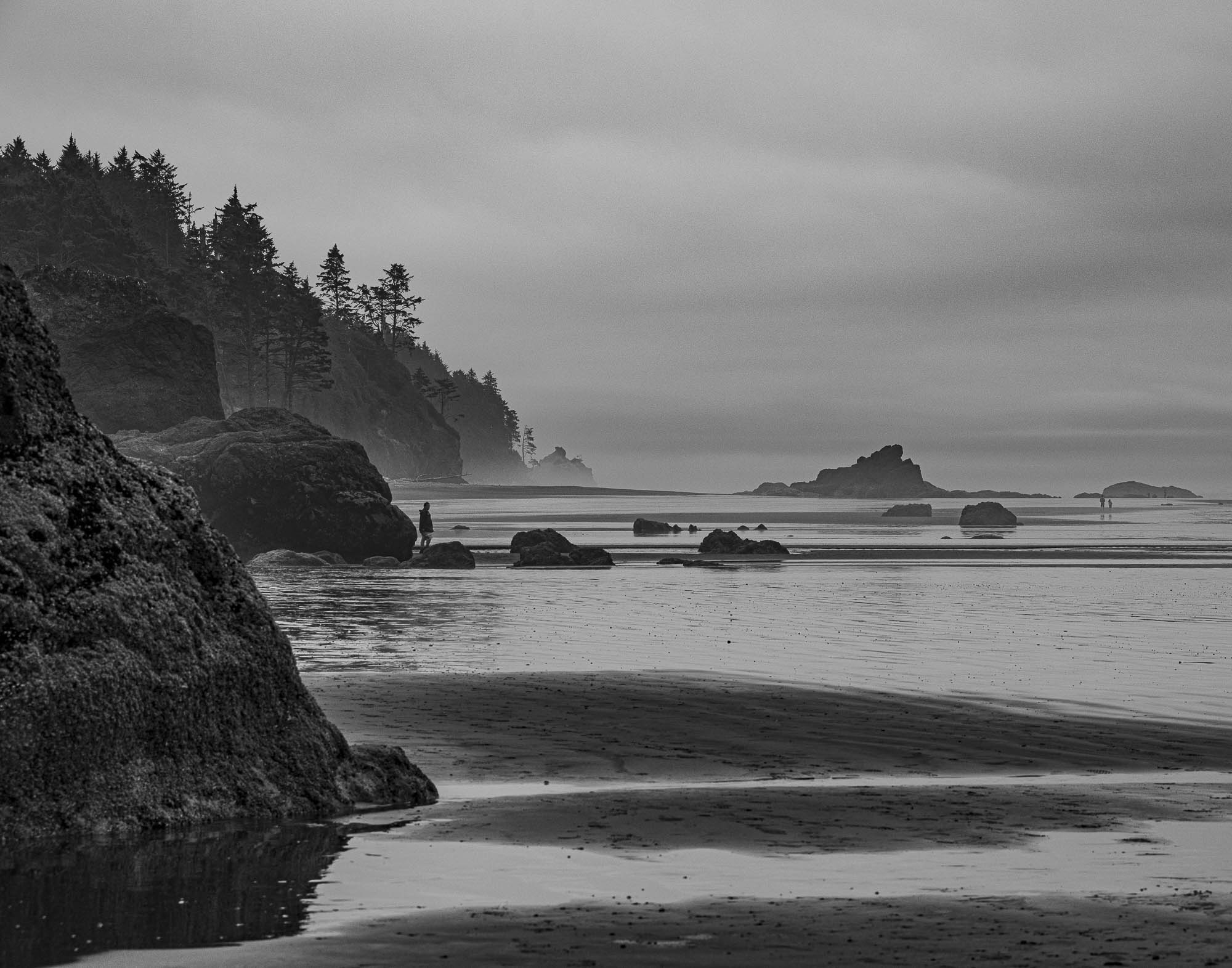 Early Morning At Ruby Beach by Mary Peddecord
