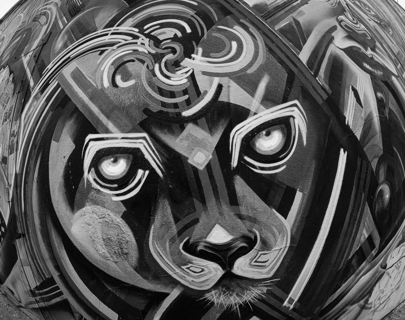 The Lion's Style by Ralph Vasquez