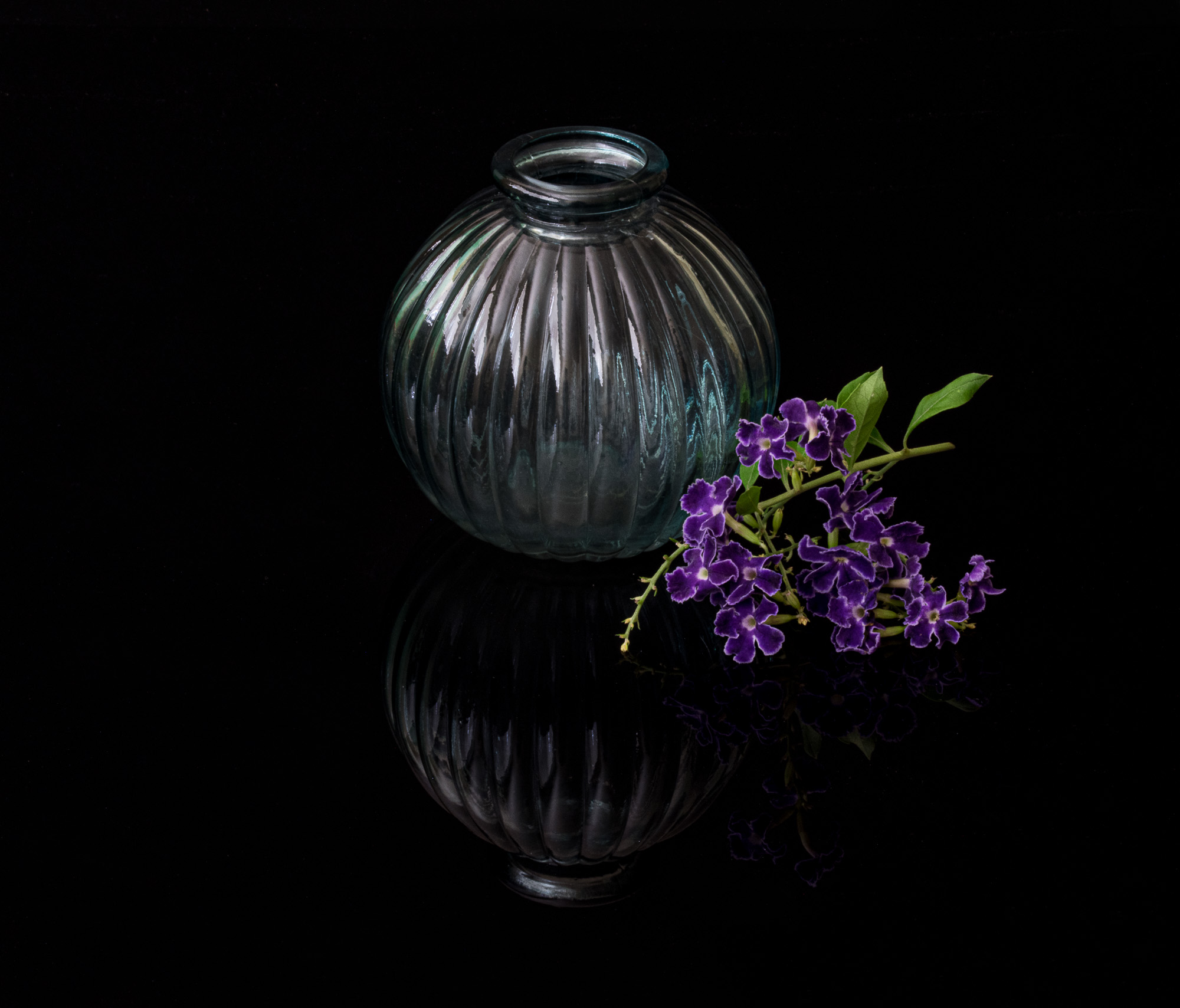 Vase with Flowers by Mary Peddecord