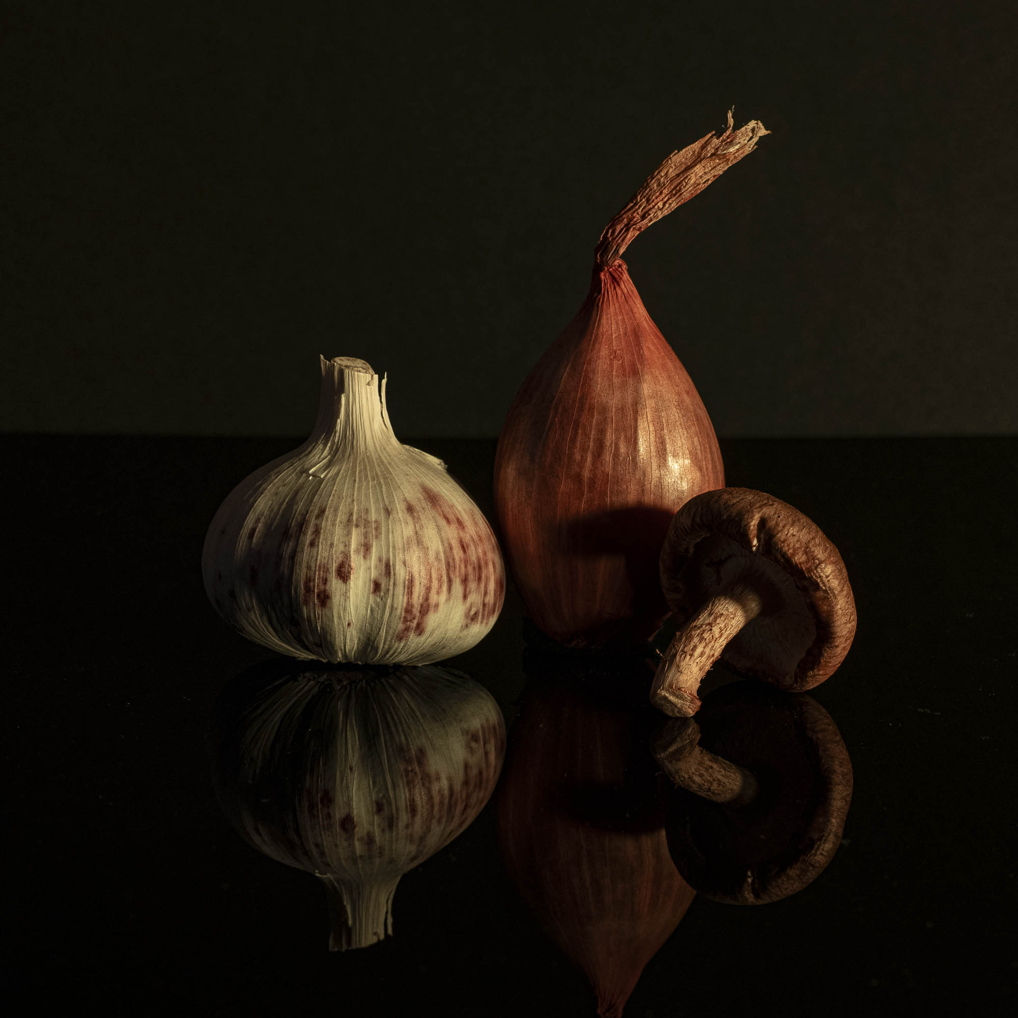 Still Life by Mary Peddecord