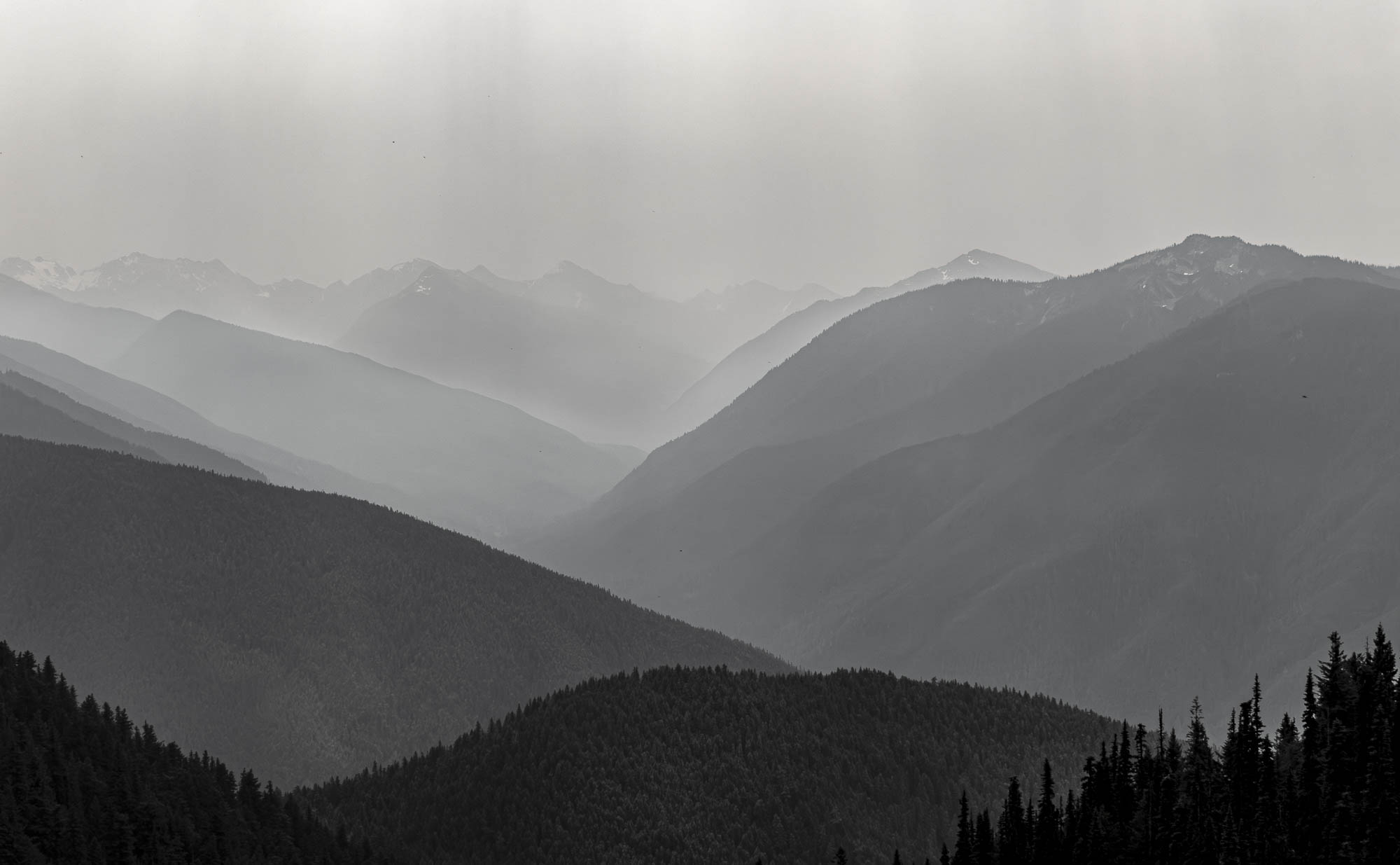 Count The Ridges by Michael Peddecord