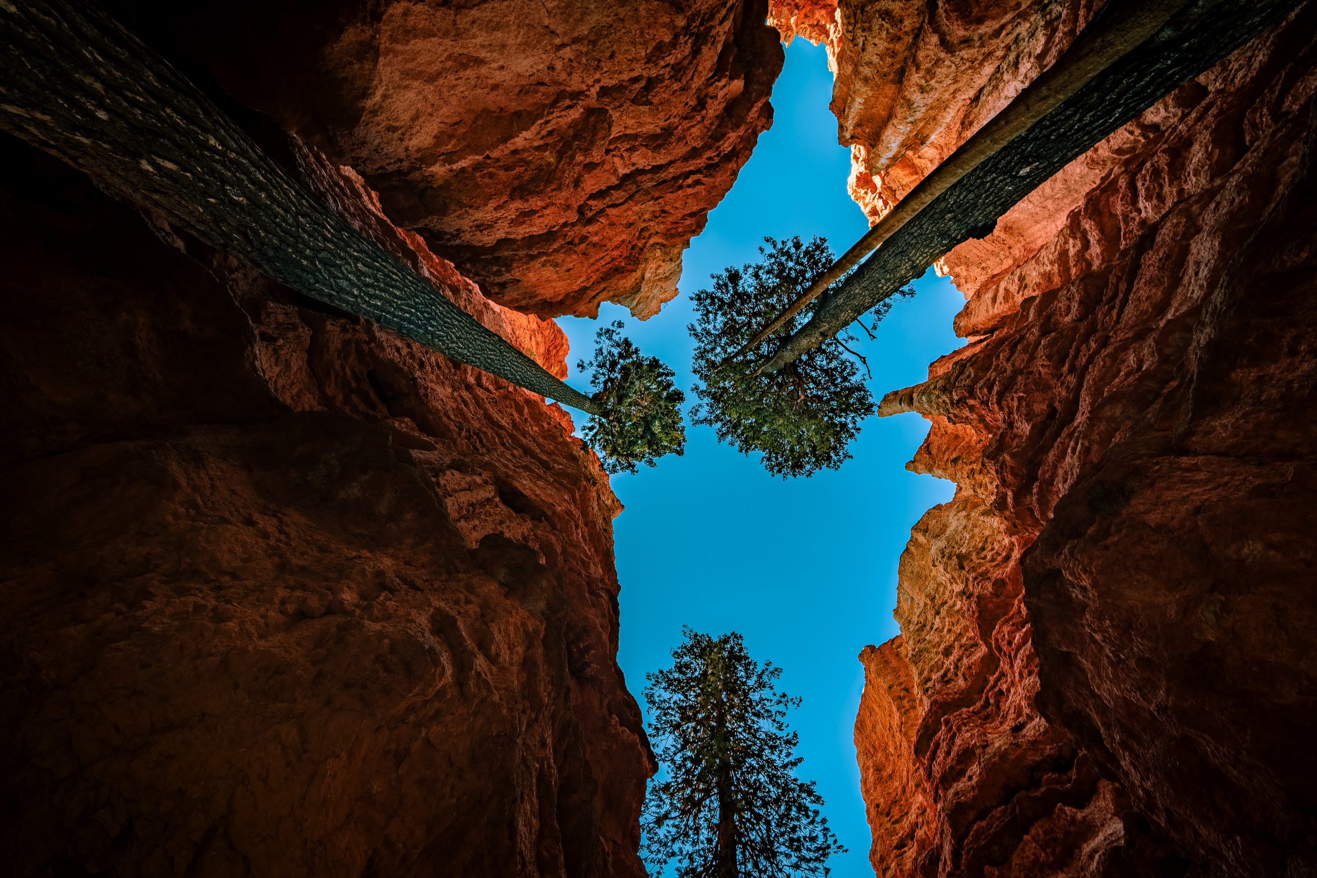 Light Chasers by Daniel Clouser