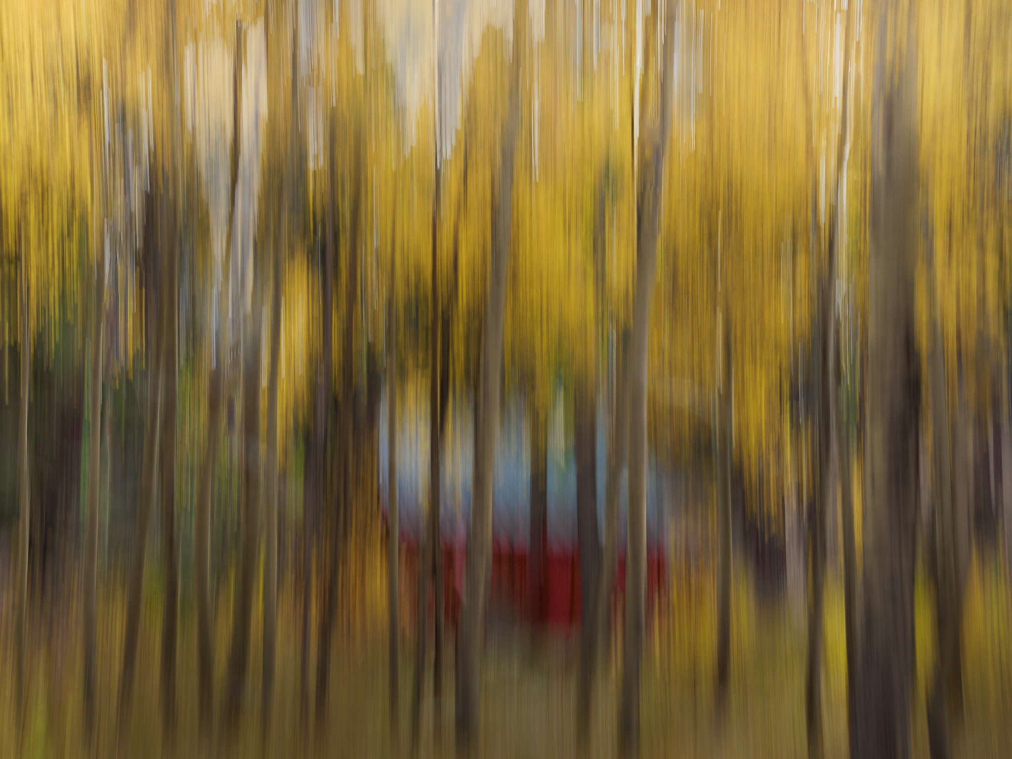 Autumn Tranquility by Anne Smith