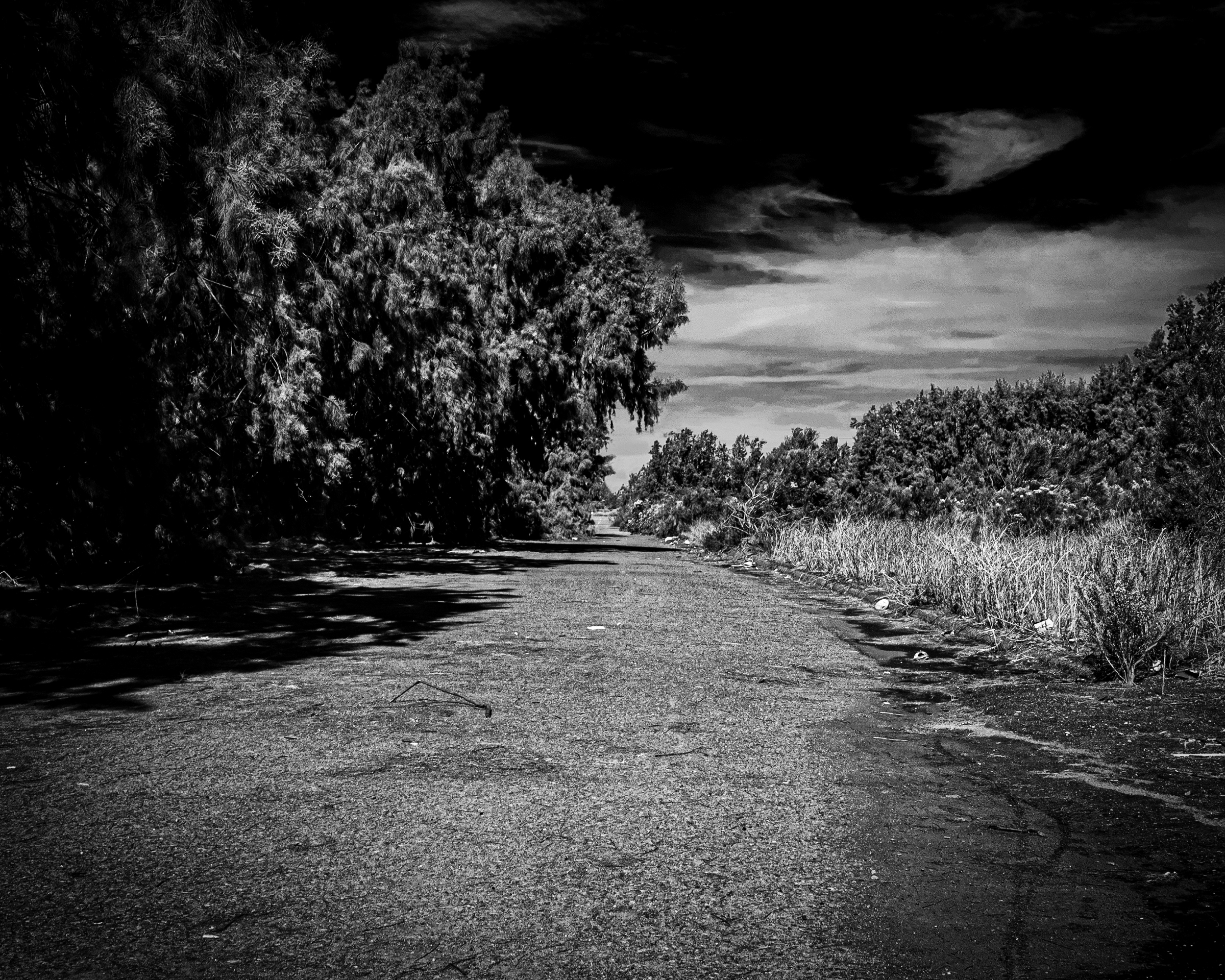 End of the road by Rick Phillips