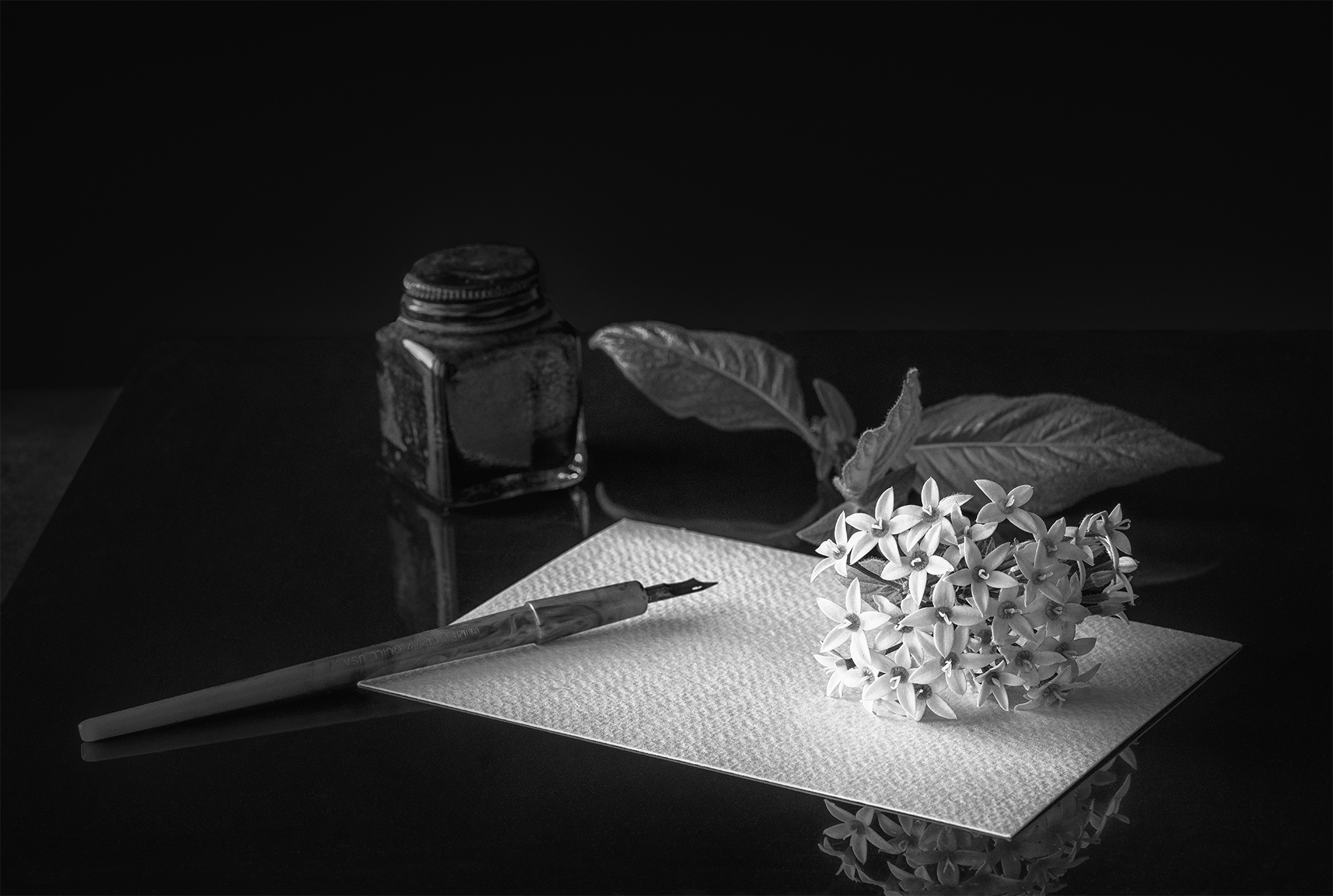Love Letter by Lisa Miller