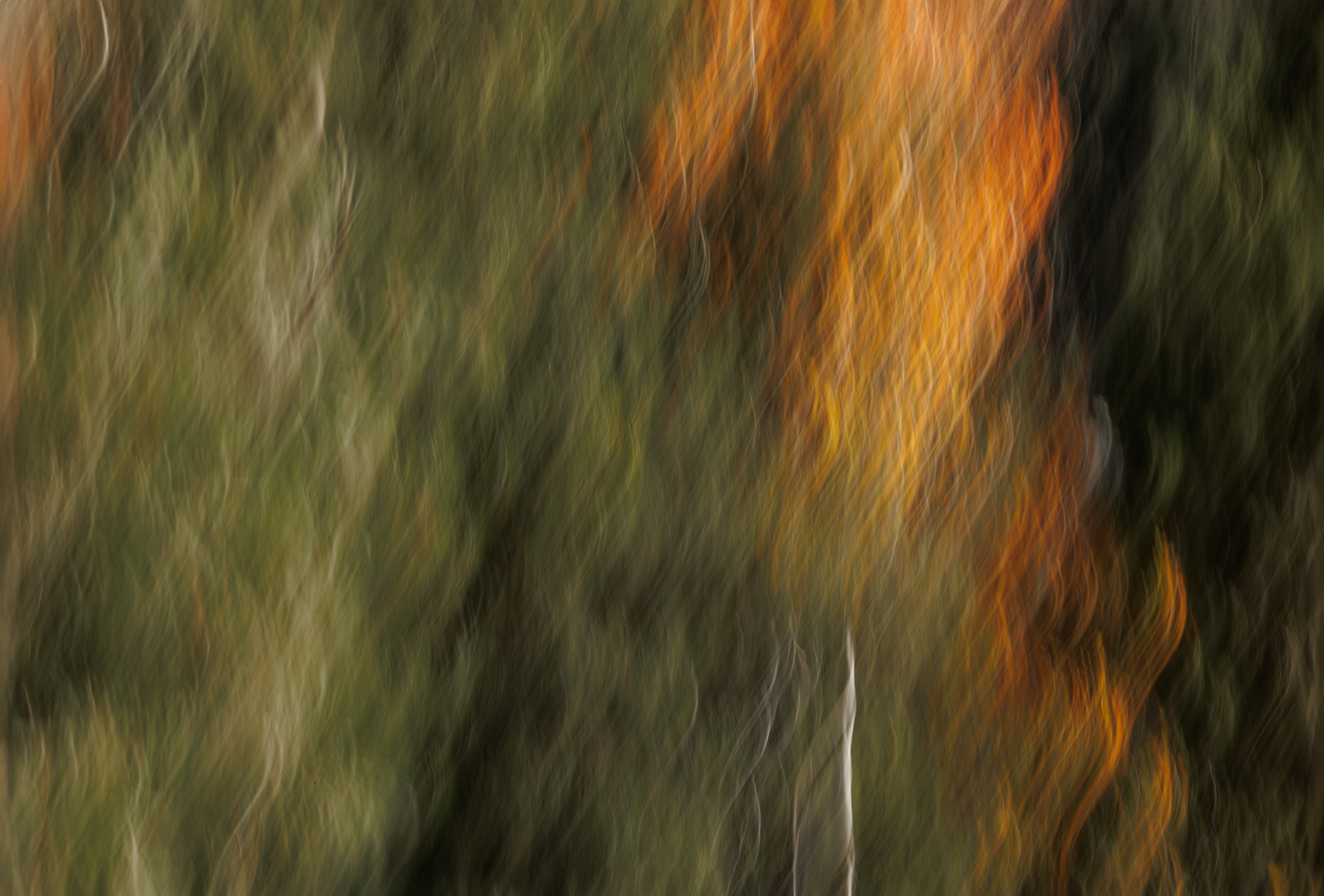 Autumn Waves by Angela Andrieux