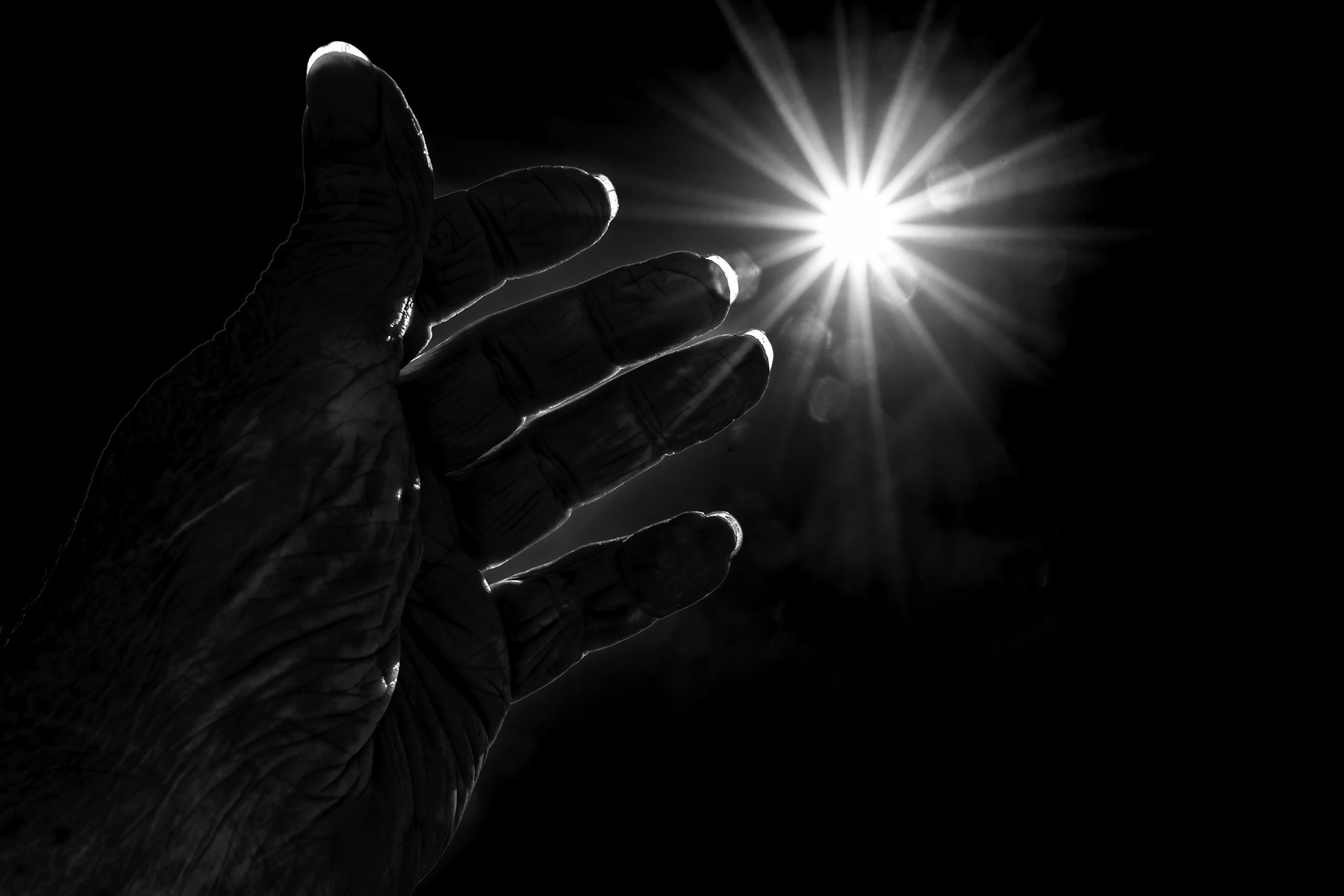 A Leper's Prayer by Rick Phillips