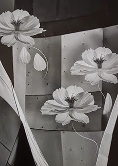 3rd Place, Other: Cosmos in Seattle by Joan Everds