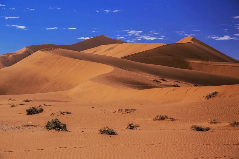 Honorable Mention, Landscape: Dunes at Deadvlei by Drema Swader
